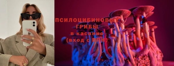 jwh Белокуриха