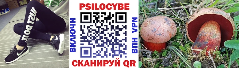 Галлюциногенные грибы Psilocybe  Катайск 